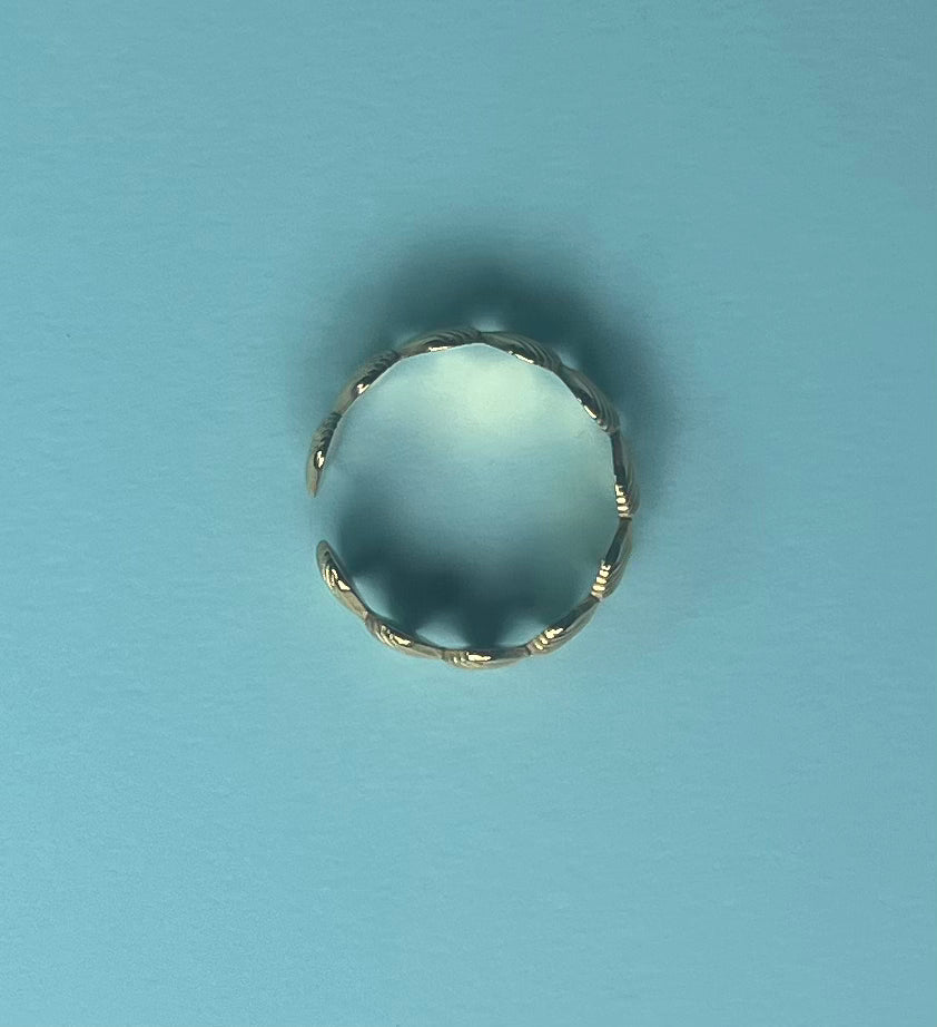 The Shell Ring