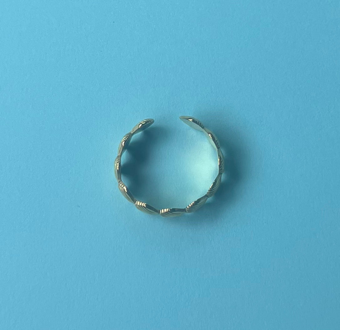 The Shell Ring