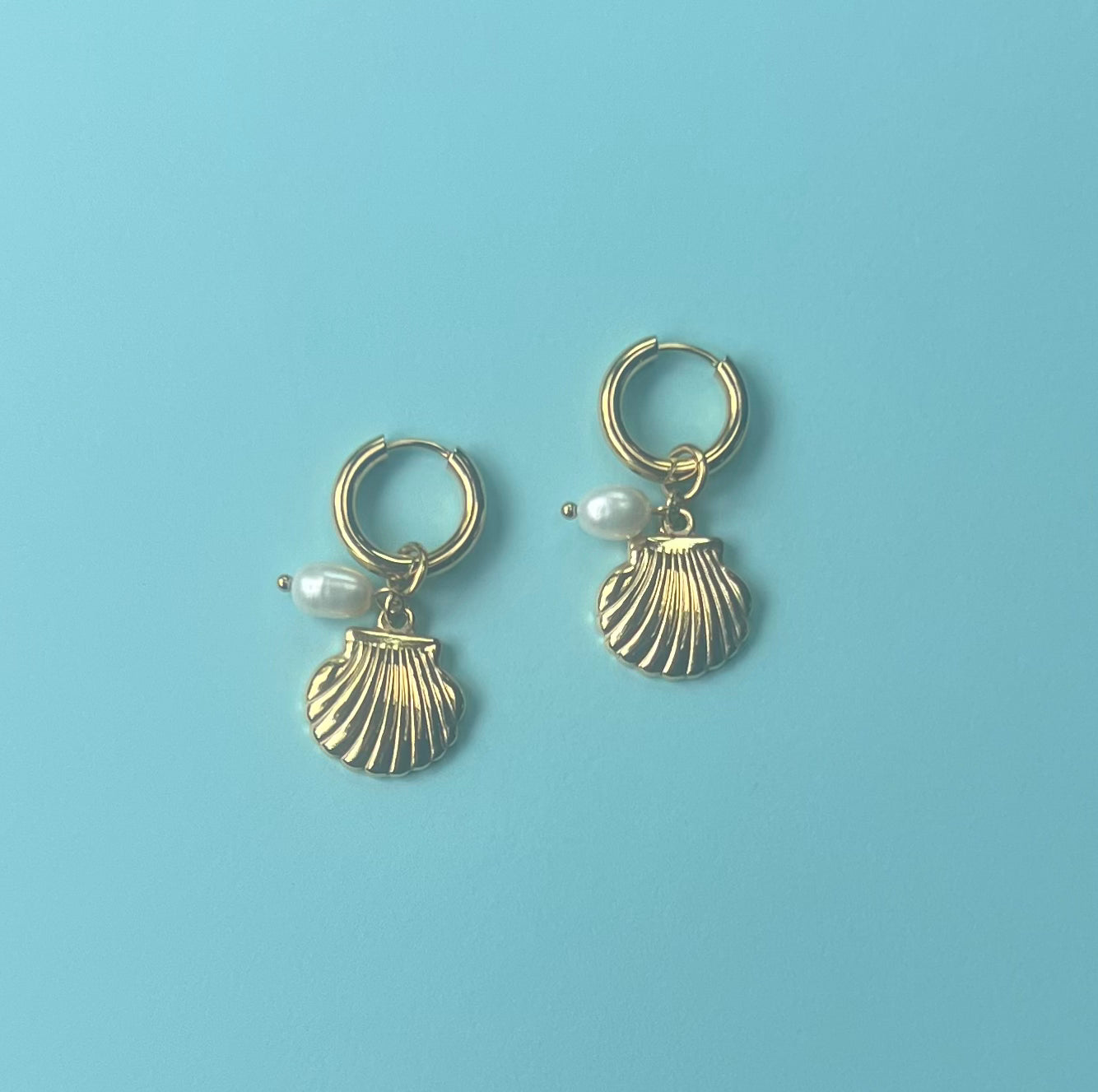 The Sandy Hoop Earrings
